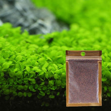 Load image into Gallery viewer, Beautiful Aquarium Grass Seeds Water Aquatic Green Plants Fish Tank Decoration Easy Planting Seed Pet Decorative Plants Supplies