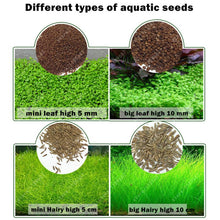 Load image into Gallery viewer, Beautiful Aquarium Grass Seeds Water Aquatic Green Plants Fish Tank Decoration Easy Planting Seed Pet Decorative Plants Supplies
