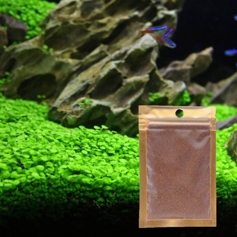 Beautiful Aquarium Grass Seeds Water Aquatic Green Plants Fish Tank Decoration Easy Planting Seed Pet Decorative Plants Supplies