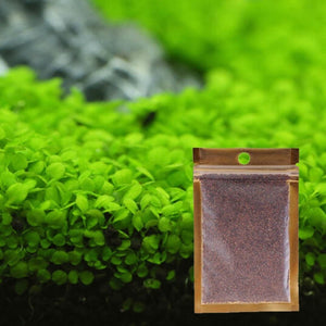 Beautiful Aquarium Grass Seeds Water Aquatic Green Plants Fish Tank Decoration Easy Planting Seed Pet Decorative Plants Supplies