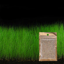 Load image into Gallery viewer, Beautiful Aquarium Grass Seeds Water Aquatic Green Plants Fish Tank Decoration Easy Planting Seed Pet Decorative Plants Supplies
